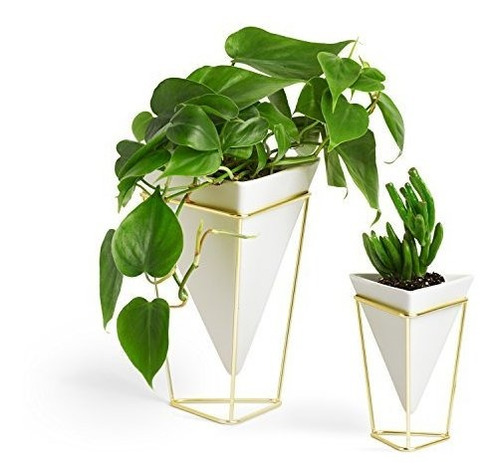 Umbra Trigg Escritorio Planter Florero, Geométricos Envase-p