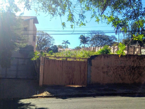 Imagem 2 de 6 de Terreno À Venda Em Jardim Das Paineiras - Te009785