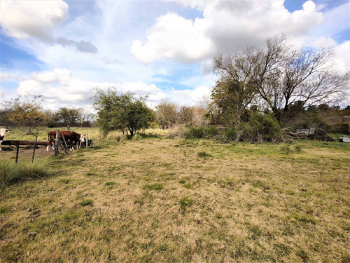 Imagen 13 de 15 de Venta De Campo En Marcos Paz 43 Hectareas