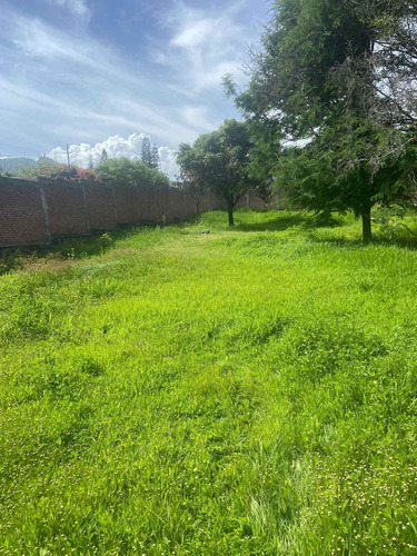 Imagen 3 de 10 de 3 Terreno En Oaxtepec 500 Mt Cuadrados Planos Cada Uno Bardeados Excelente Prusvalia Cerca De Six Flax