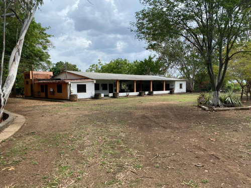 Imagen 1 de 14 de Finca En Venta En Guarico