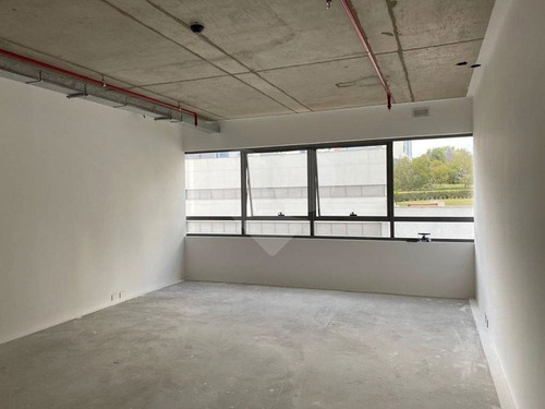 Sala Comercial No Hom Nilo - 28-im533797