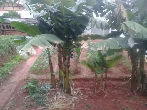 Imagem 4 de 7 de Terreno À Venda, Dos Pássaros - São Bernardo Do Campo/sp - 92354