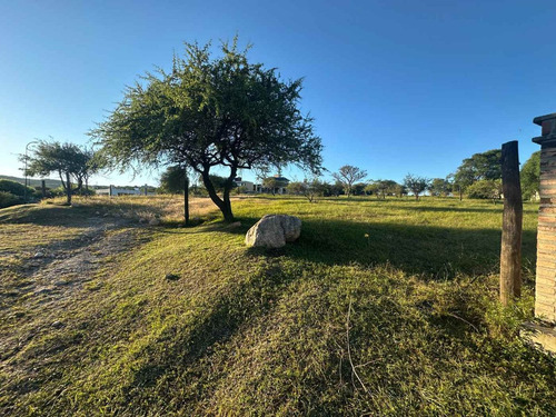 Venta Lote Tierra Alta Plano 1343 M2