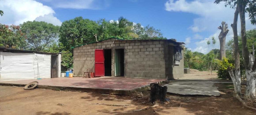 Imagen 4 de 12 de En Venta Parcela En Parapara De Ortiz