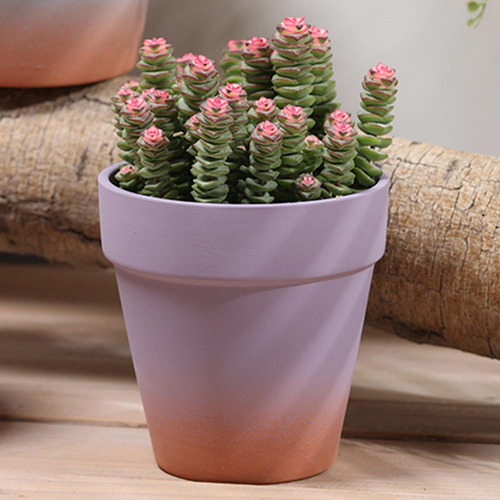 Planta Maceta De Flores Macetas Interiores Al Aire Libre Con