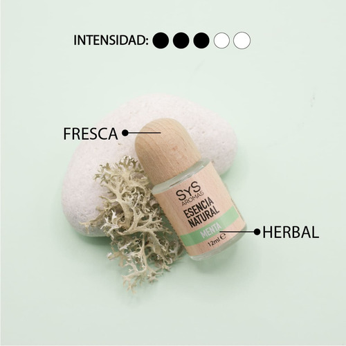 Aceite Esencial Aromaterapia Menta X 2 Unds (24 Ml)