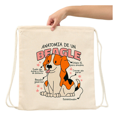 Mochila Anatomia De Un Perro Beagle