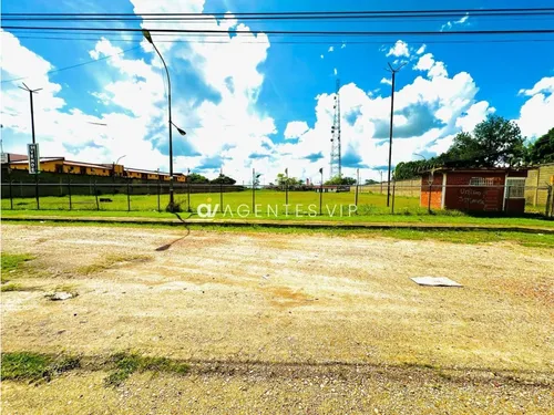 Av. Alirio Ugarte Pelayo
