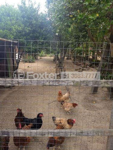 Imagem 4 de 17 de Fazenda / Sítio / Chácara, 2 Dormitórios, 150 M², São Tomé - 202468