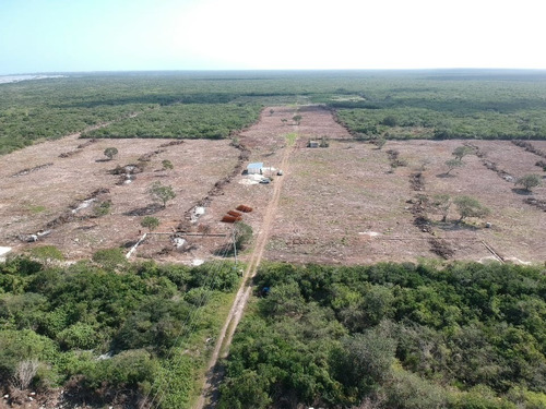 Lotes Urbanizados En La Playa San Crisanto, Privada Ankal, D