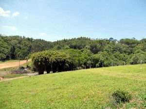Terremo Ibiúna Sp Condomínio Fechado 10.283 Mts Com 2 Lagos!