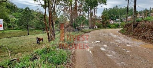 Imagem 6 de 10 de Terreno - Ref: 6309 - V-6309