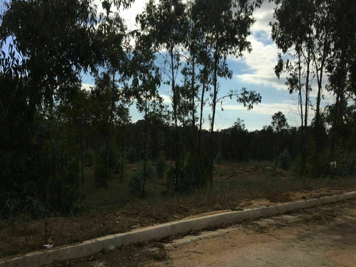 Terreno Campo-mar En Zona Sur Maitencillo