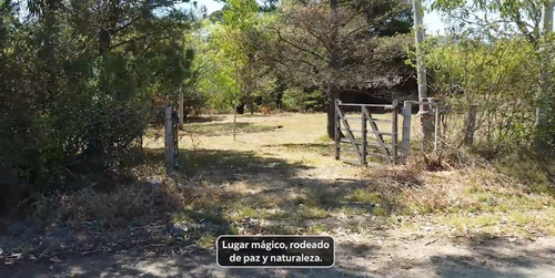 Imagen 3 de 13 de Terreno Rural Con Casa A La Venta En Aguas Blancas Lavalleja - Oportunidad