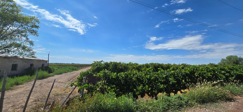 Venta Finca El Carrizal