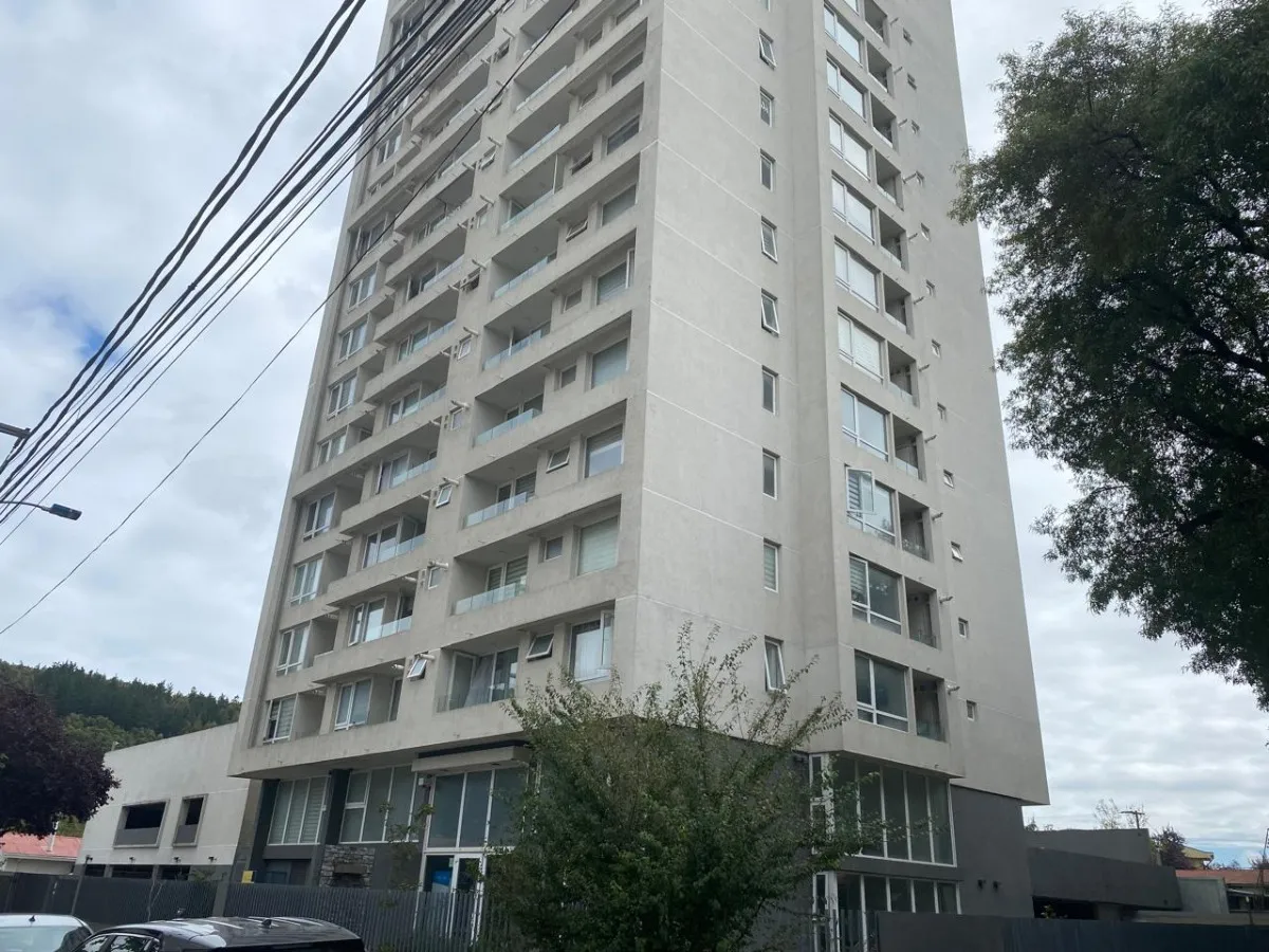 Imagen 5 de 22 de Se Vende Departamento Frente Estadio Ester Roa