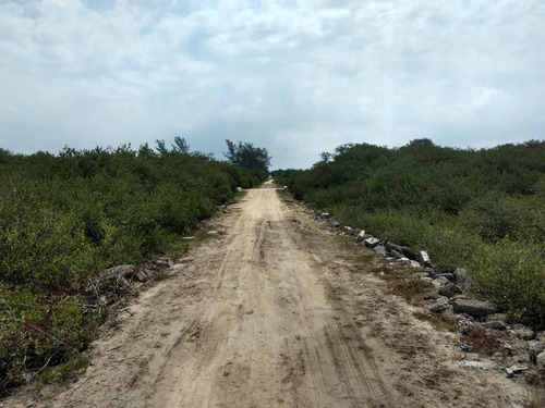 Venta Rancho 150 Hectareas Frente Laguna Tamiahua Veracruz