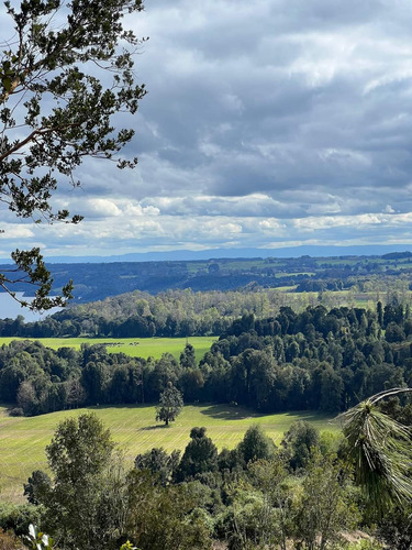 Parcelas Urbanizadas En Pto Octay, Vistas A Lago Y Volcanes