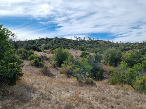 Lote 5000 M2 En Ranquilhue, Pumanque Limite Con Marchigue