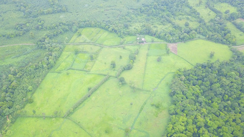 Imagen 2 de 10 de Excelente Finca, Lo Que Busca , Agrícola, Ganadera, Bosque