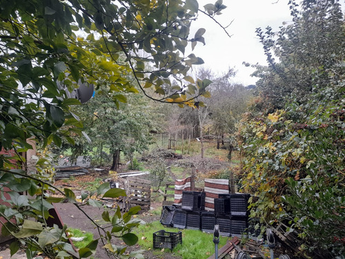 Preparate Para Una Nueva Inversion En Osorno