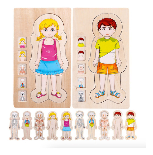 Puzzle Encaje Didáctico Cuerpo Humano Niña , Madera