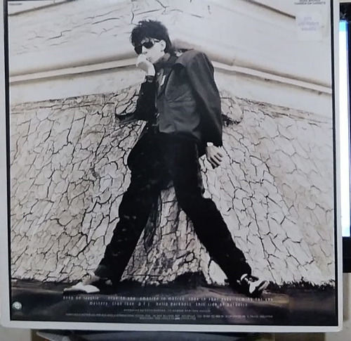 Lp Ric Ocasek This Side Of Paradise (Usado)