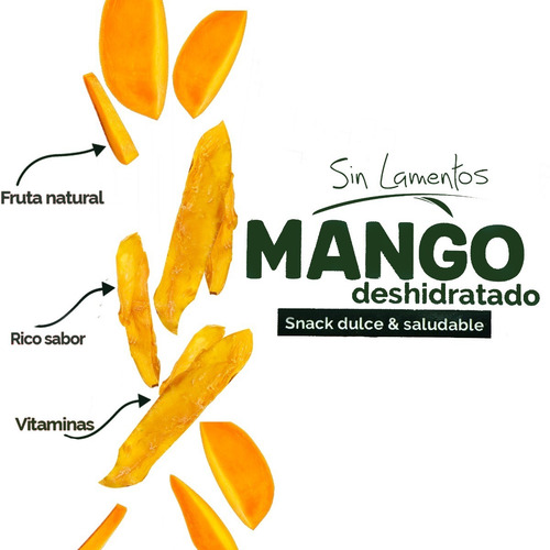 Imagen 4 de 4 de Envío Gratis: Salsa Deshidratada (12pc) + Snack Mango (10pc)