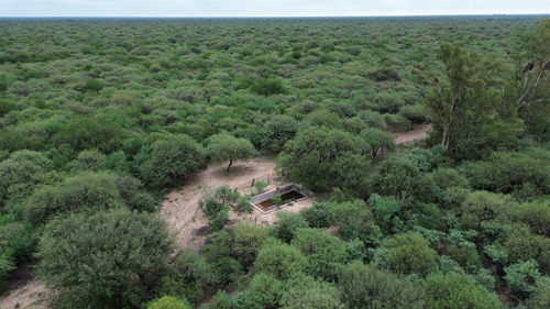 1.070 Has Ganaderas - Guanaco Muerto, Zona Cruz Del Eje