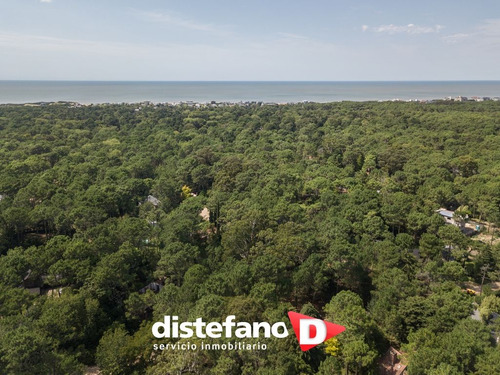 Terreno En Venta En Carilo