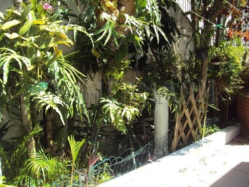 Imagem 5 de 15 de Casa - Sumare - Ref: 61784 - V-61784
