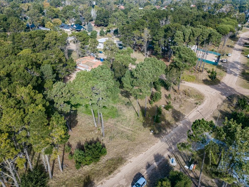 Imagen 5 de 13 de Lote En Venta - Alamos Ii - Pinamar