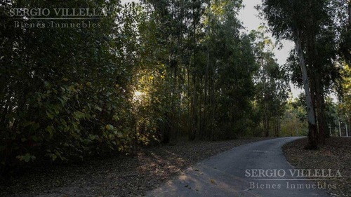 Imagen 7 de 14 de Terreno En Venta En Campo Timbo