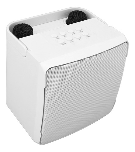 Altavoz Portátil Karaoke Machine Con Micrófono Dual De 10 W