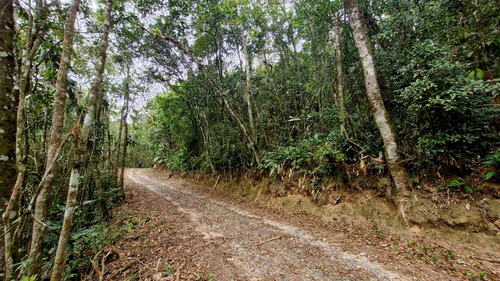 Terreno Tapiraí - Sp - Excelente Topografia Com Escritura