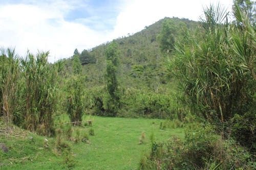 Hermoso Terreno En Venta En Una De Las Zonas Mas Solicitadas En República Dominicana La Joya Que Es Constanza