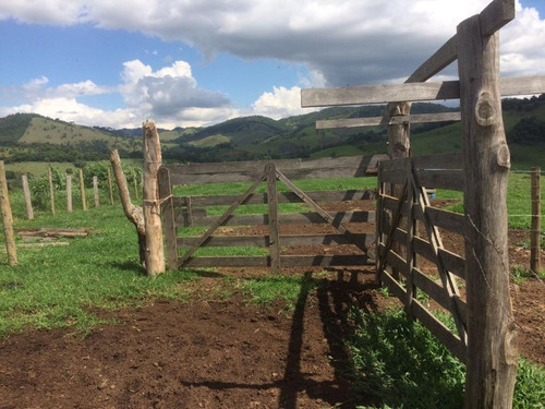Imagem 9 de 30 de Fazenda - Município Cambuí-mg - Fa0050