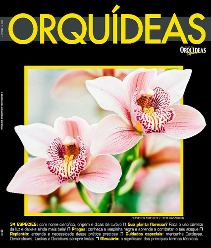 O Mundo Das Orquídeas Especial, de  On Line a. Editora IBC - Instituto Brasileiro de Cultura Ltda, capa mole em português, 2020