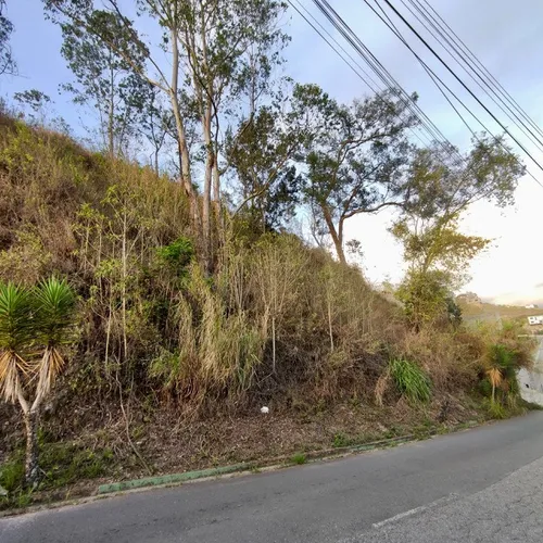 Colinas De Carrizal