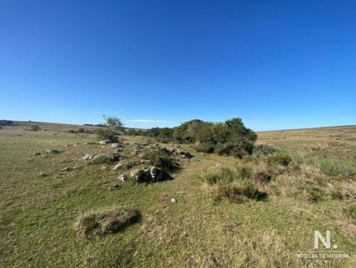 Ideal Opcion De Inversion, Campo En Garzon