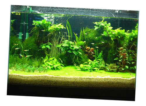 B Cartel De Paisaje De Acuario 122x46cm Tipo C - 122x46cm