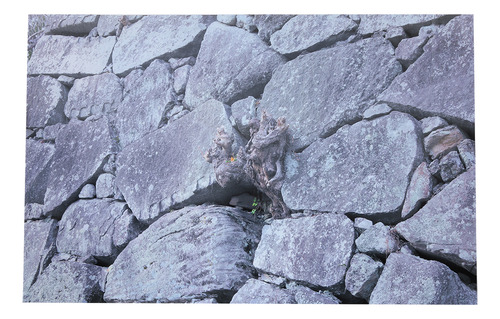Adhesivo Decorativo Para Acuarios Con Piedra De Roca De 61 X