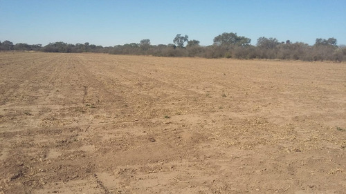Imagen 9 de 13 de Se Venden 76 Hectareas A 5 Km De Las Arrias