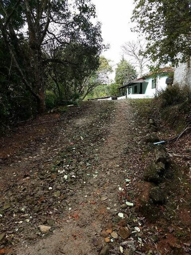 Imóvel Em Piedade, Com 3 Dormitórios- 4644-pc