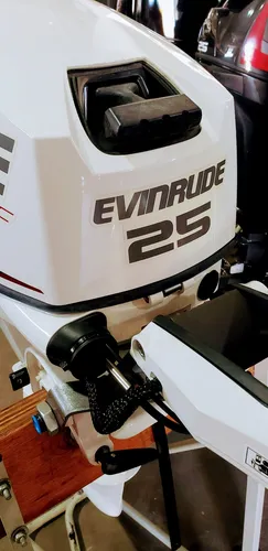 Motor Evinrude 25 - 40 Hp 2 Tiempos Ecol Nautica Milione