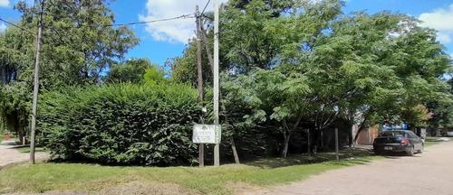 Imagen 4 de 8 de Terreno} Lote Venta