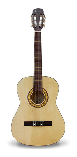 Guitarra Acústica Vizcaya Arcg34 Nt