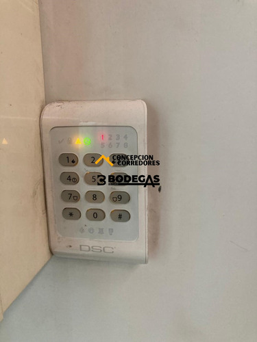 Arriendo Bodega C/of De 234 M2 En Ruta Los Libertadores.