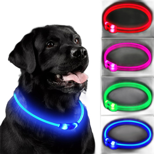 Collar Con Luz Led Para Mascota Perro Gato Visible Paseo